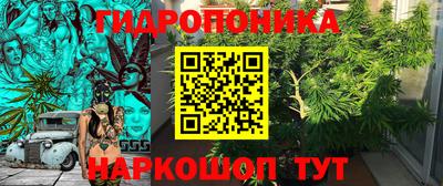 спиды Лесосибирск